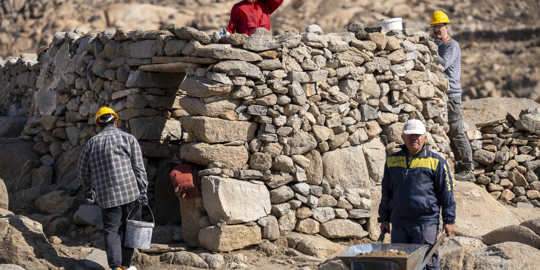 ADELOS 2402 FNH08019