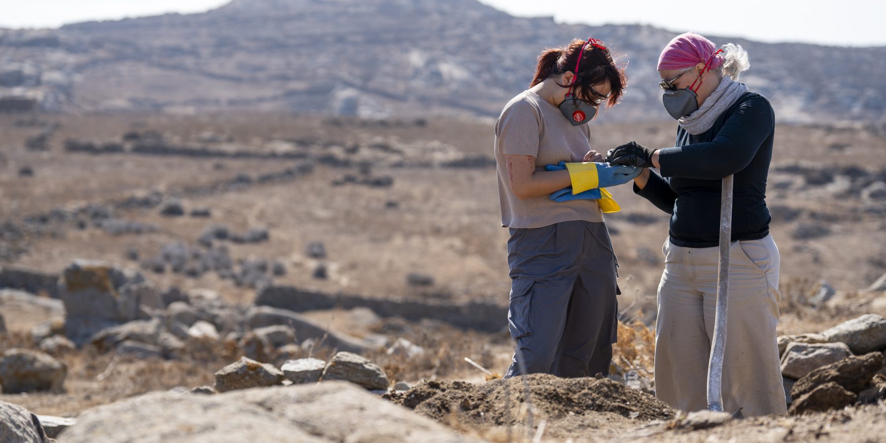 ADELOS 2406 FNH08033