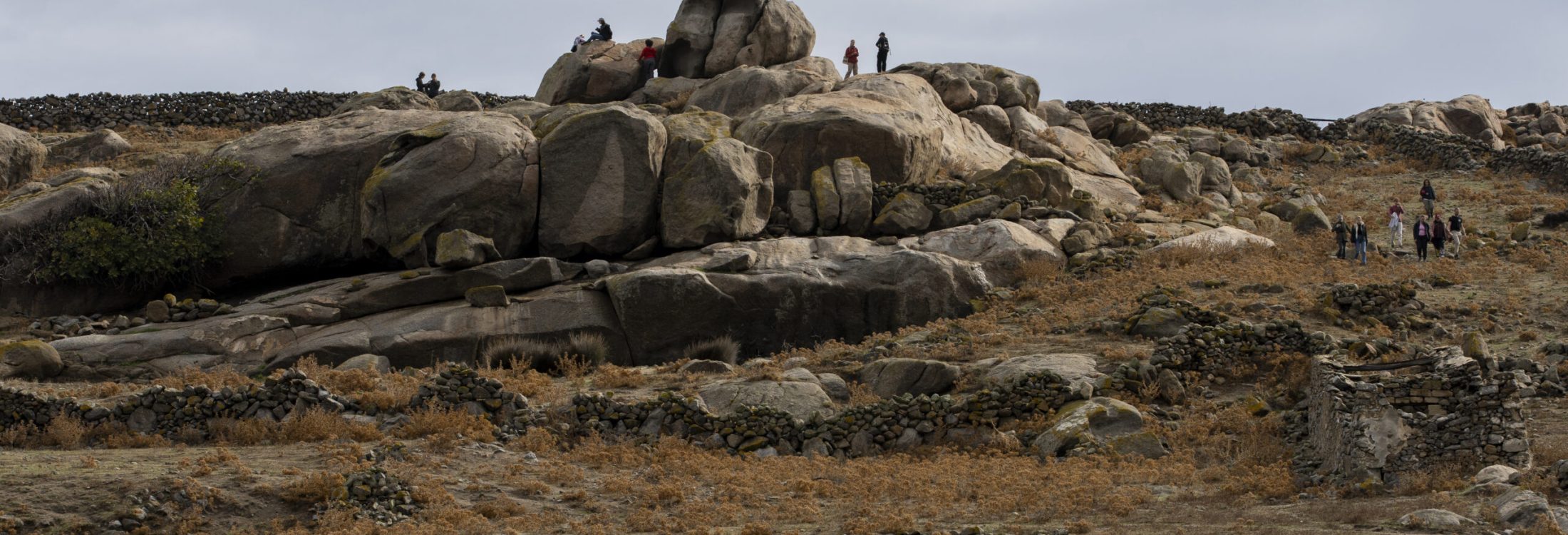 ADELOS Phase II KYV09406