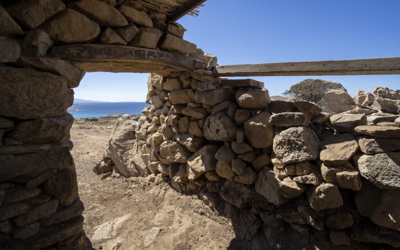 Adelos 2024 featured image