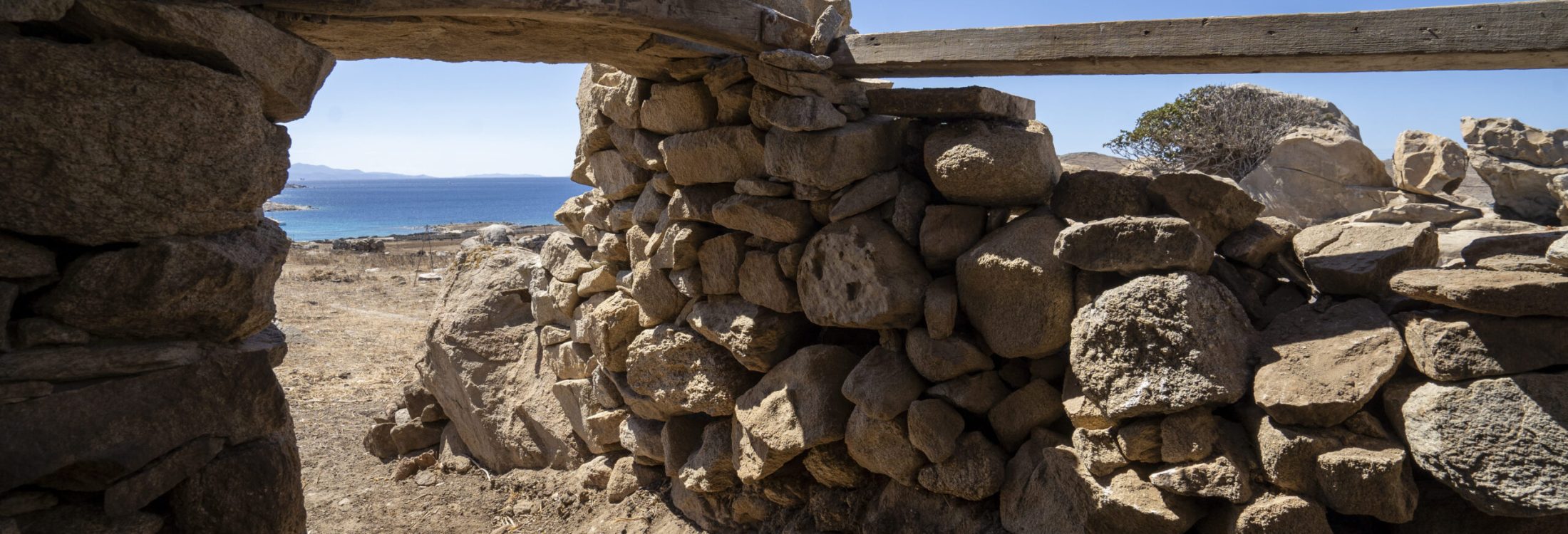 Adelos 2024 featured image