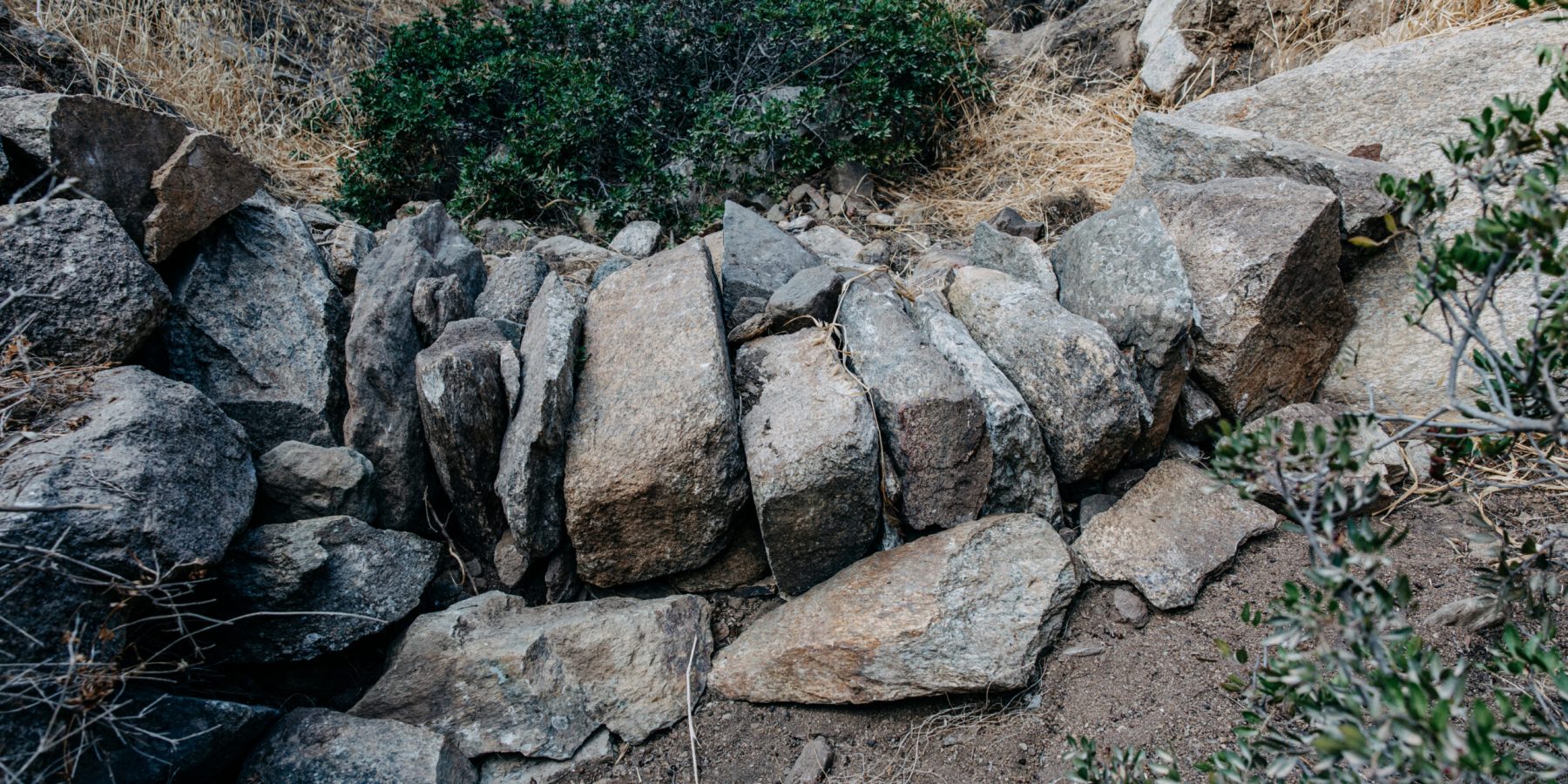 Aris Giannoukos (14)