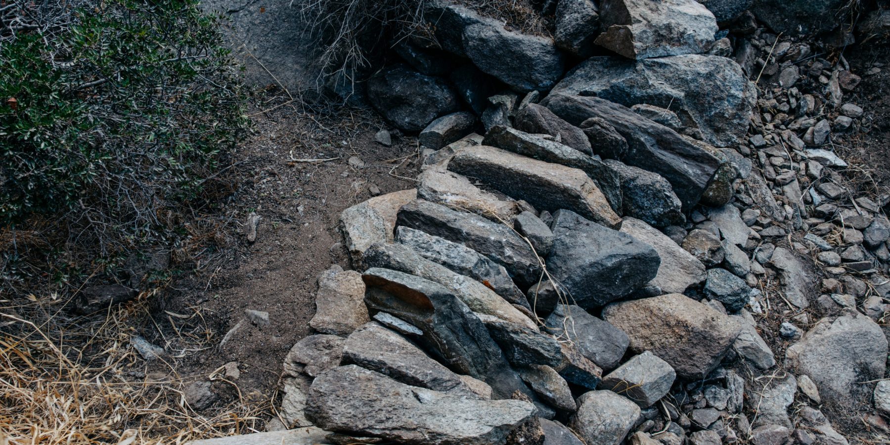 Aris Giannoukos (15)