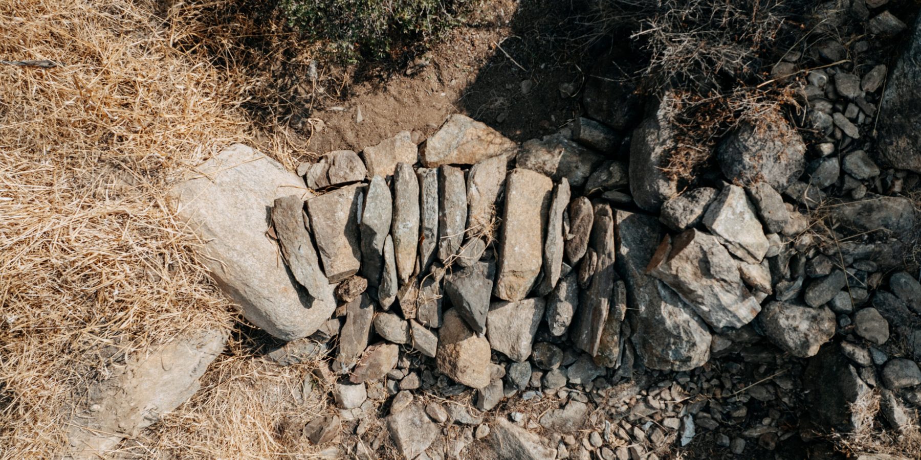 Aris Giannoukos (17)