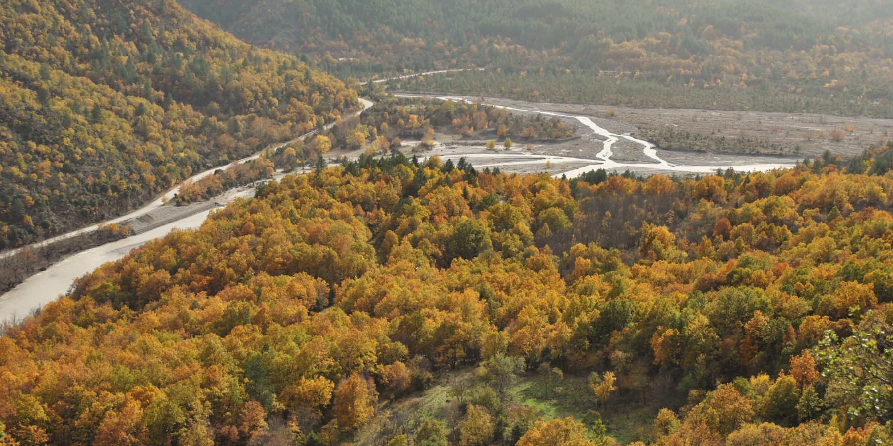 Featured image CONSERVE CONNECT