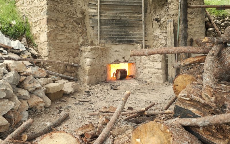 Exhibition burning the bones of the earth featured image