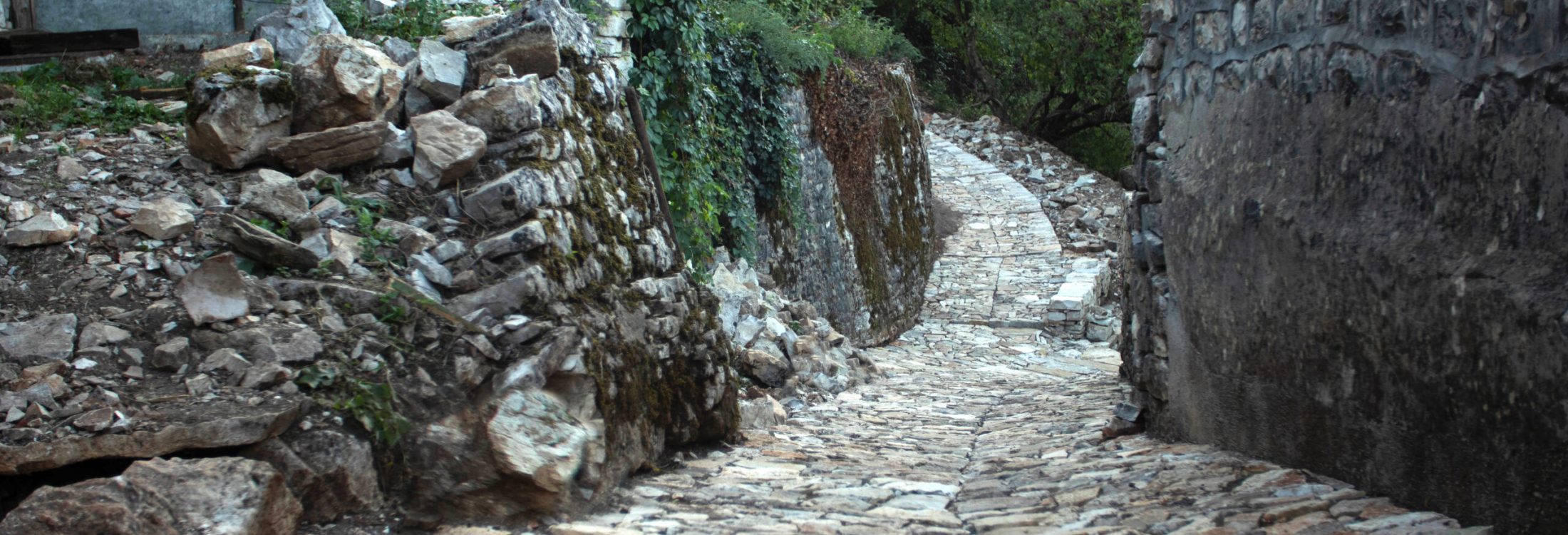 Featured image Eleni Mitropoulou 2020