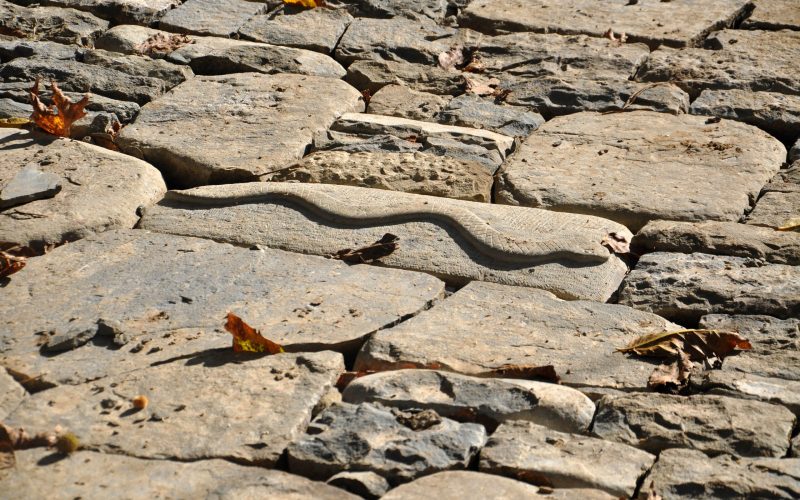 Featured image KLDx2