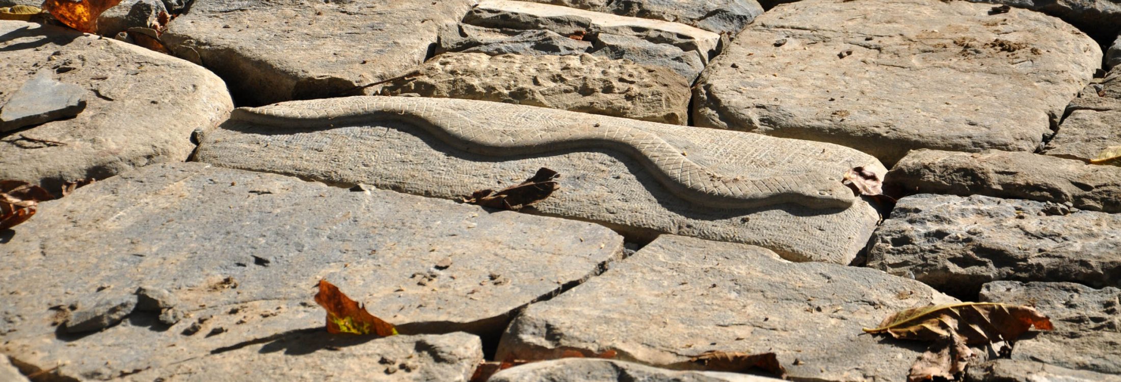 Featured image KLDx2