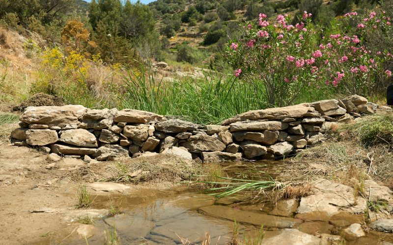 Featured image MD K Mavris