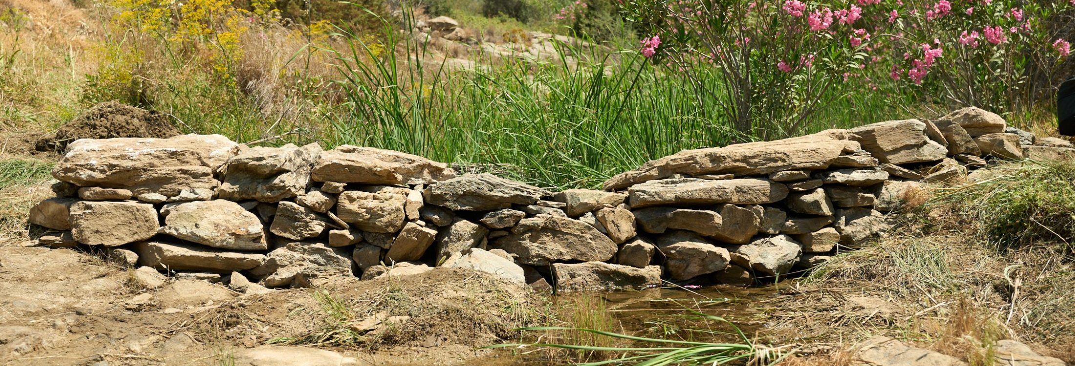 Featured image MD K Mavris