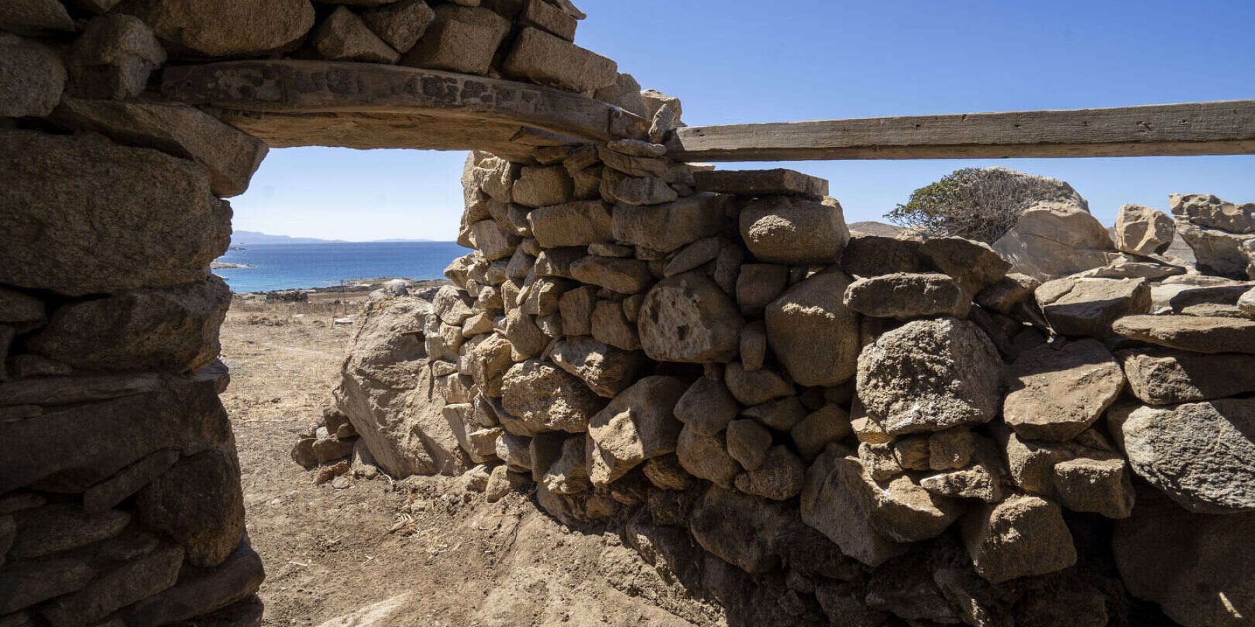 Featured image_Adelos 2024 (1)