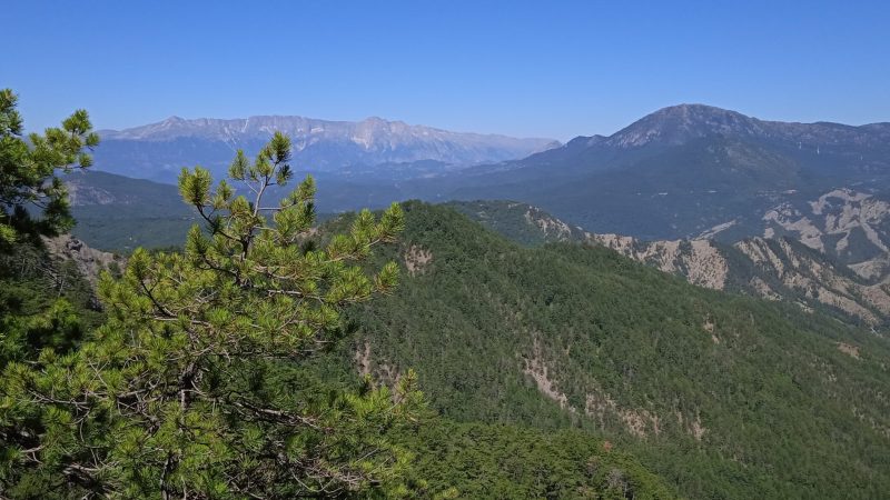 IMG_20240615_111546_1