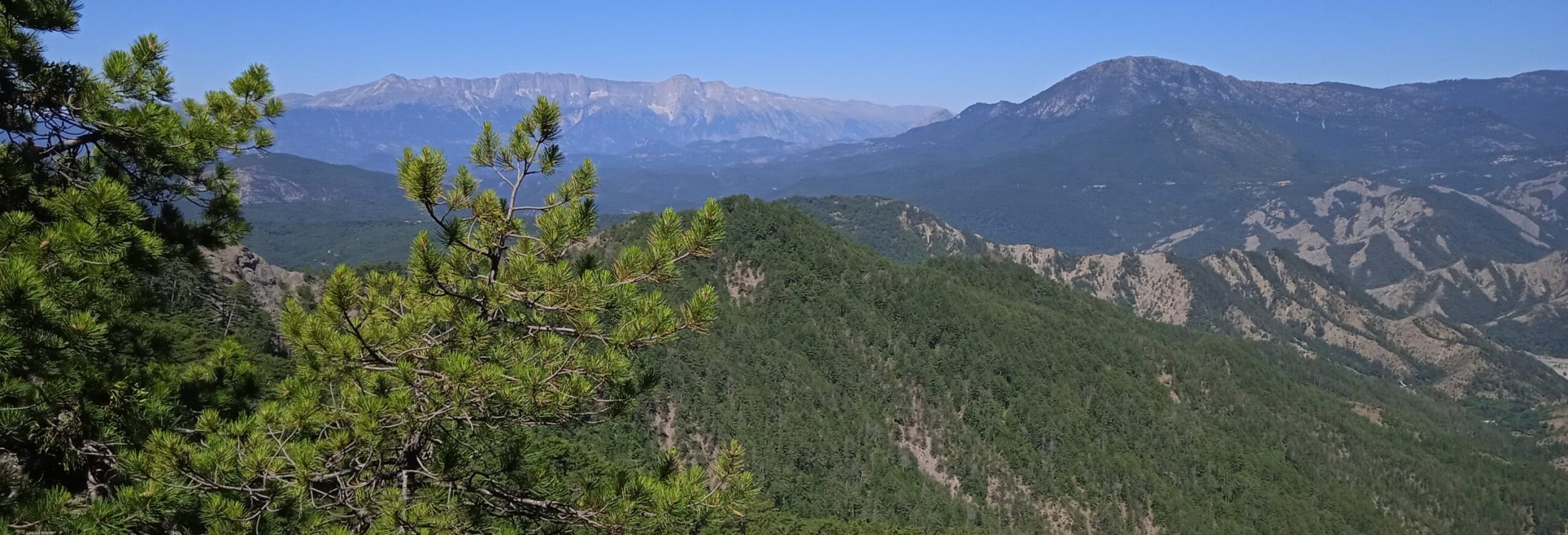 IMG_20240615_111546_1