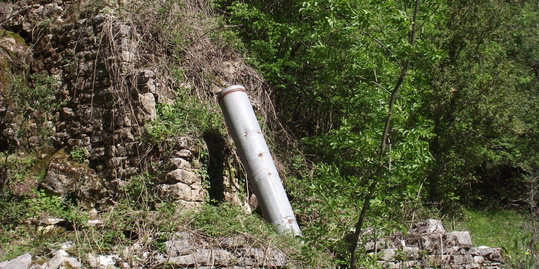 porestou Irina Karapetyan (47)