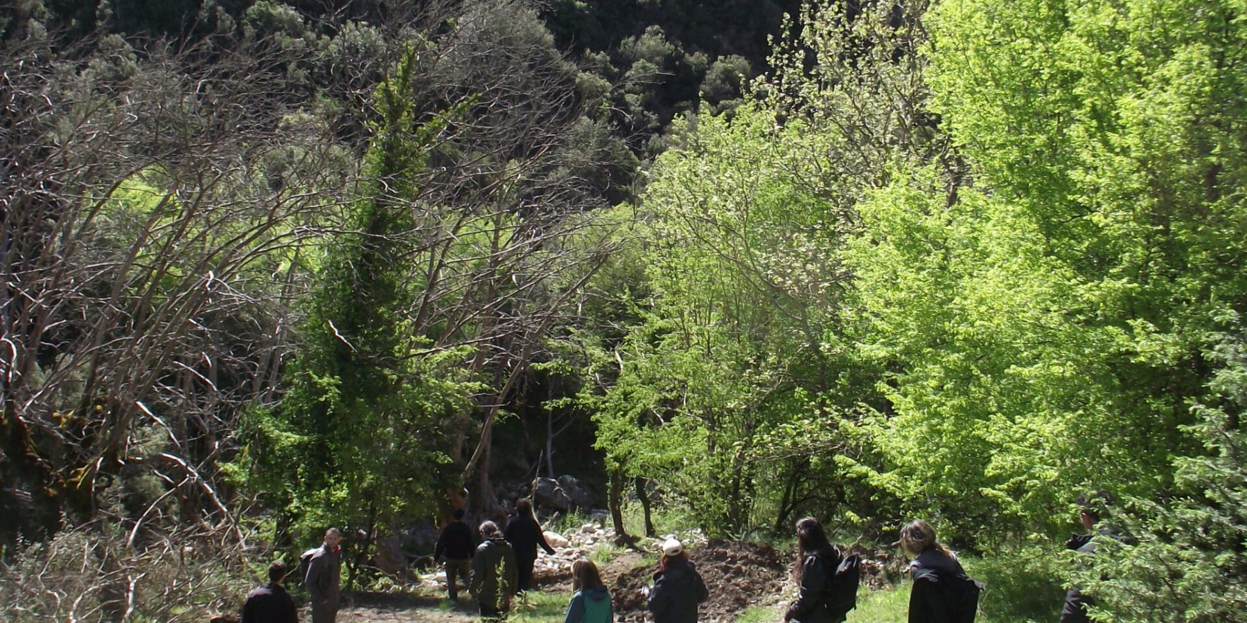 porestou Irina Karapetyan (54)