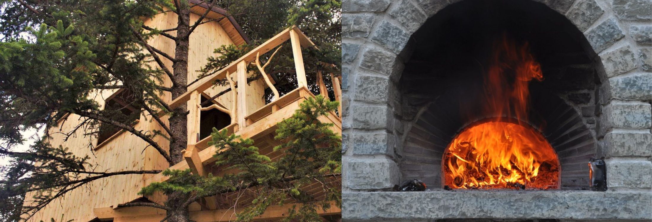 SHELTERS featured image