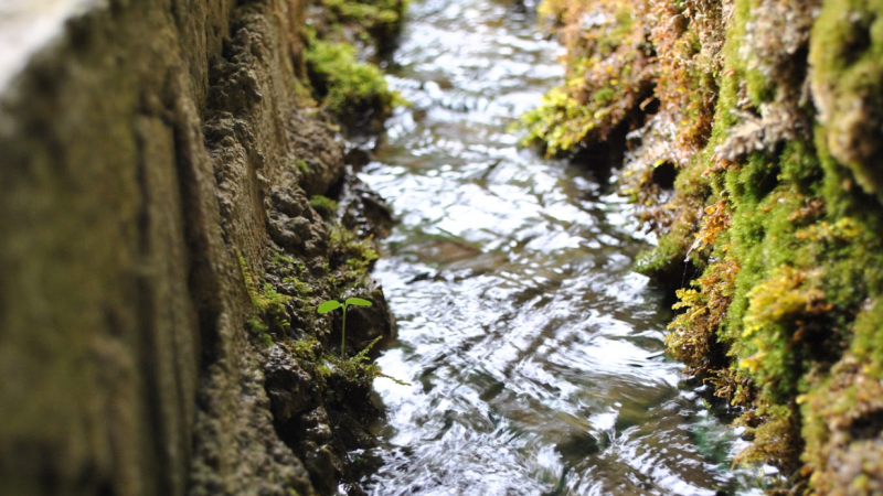 Screenshot 2025-11-06 145946