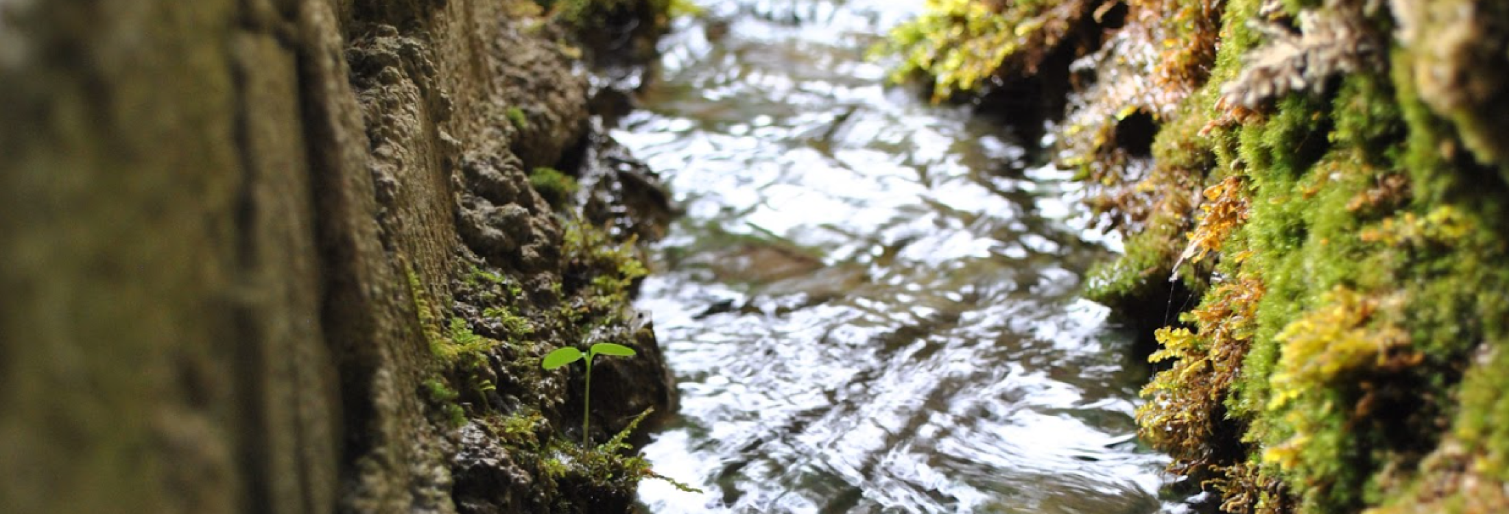 Screenshot 2025-11-06 145946