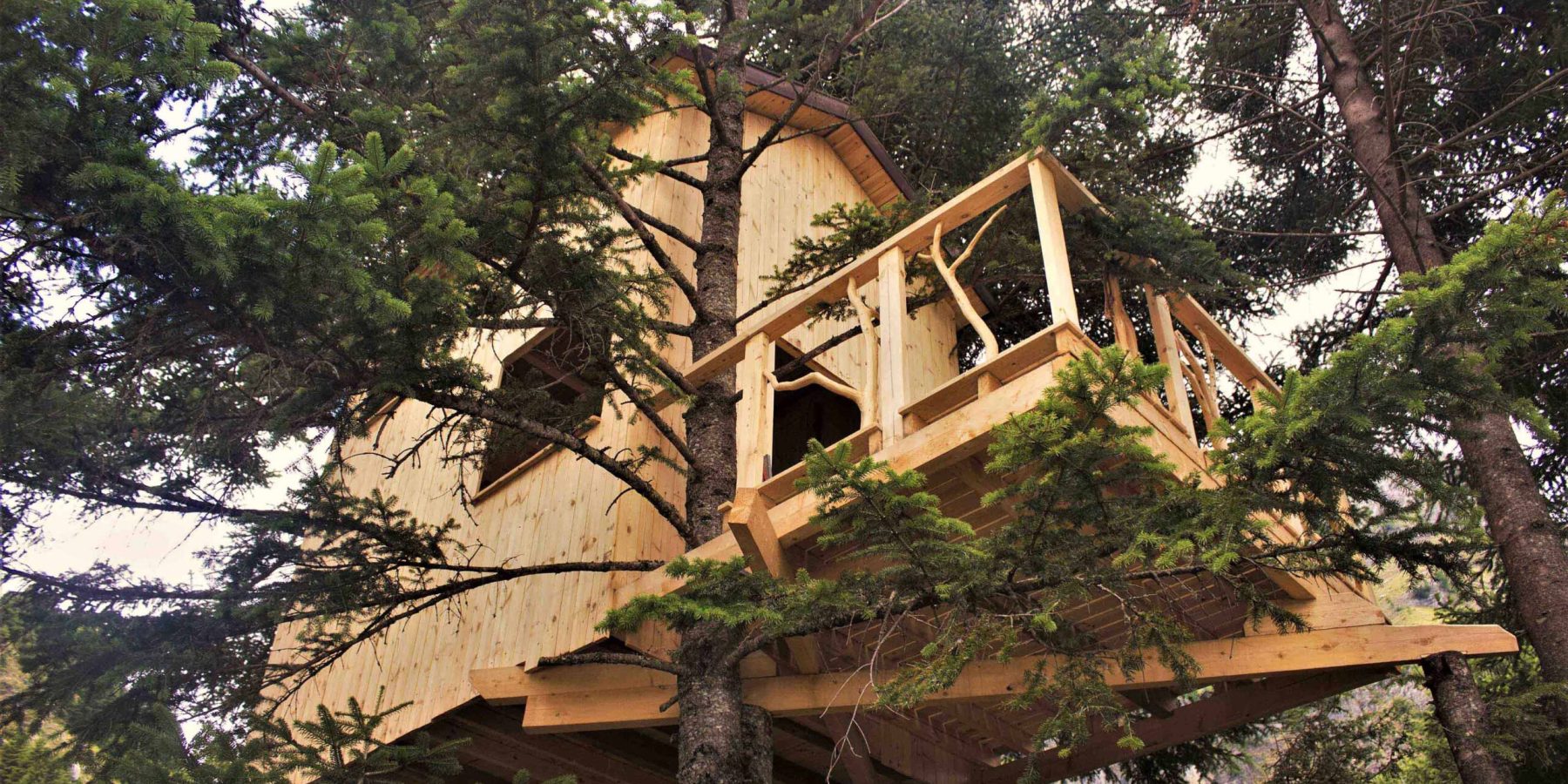Treehouse completed_SH