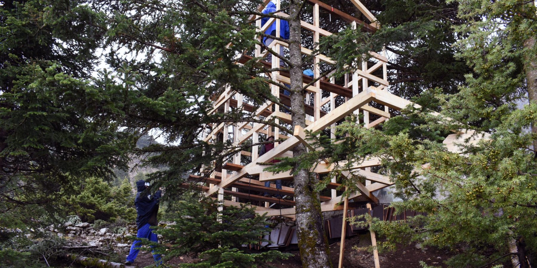 Treehouse construction process_ SH