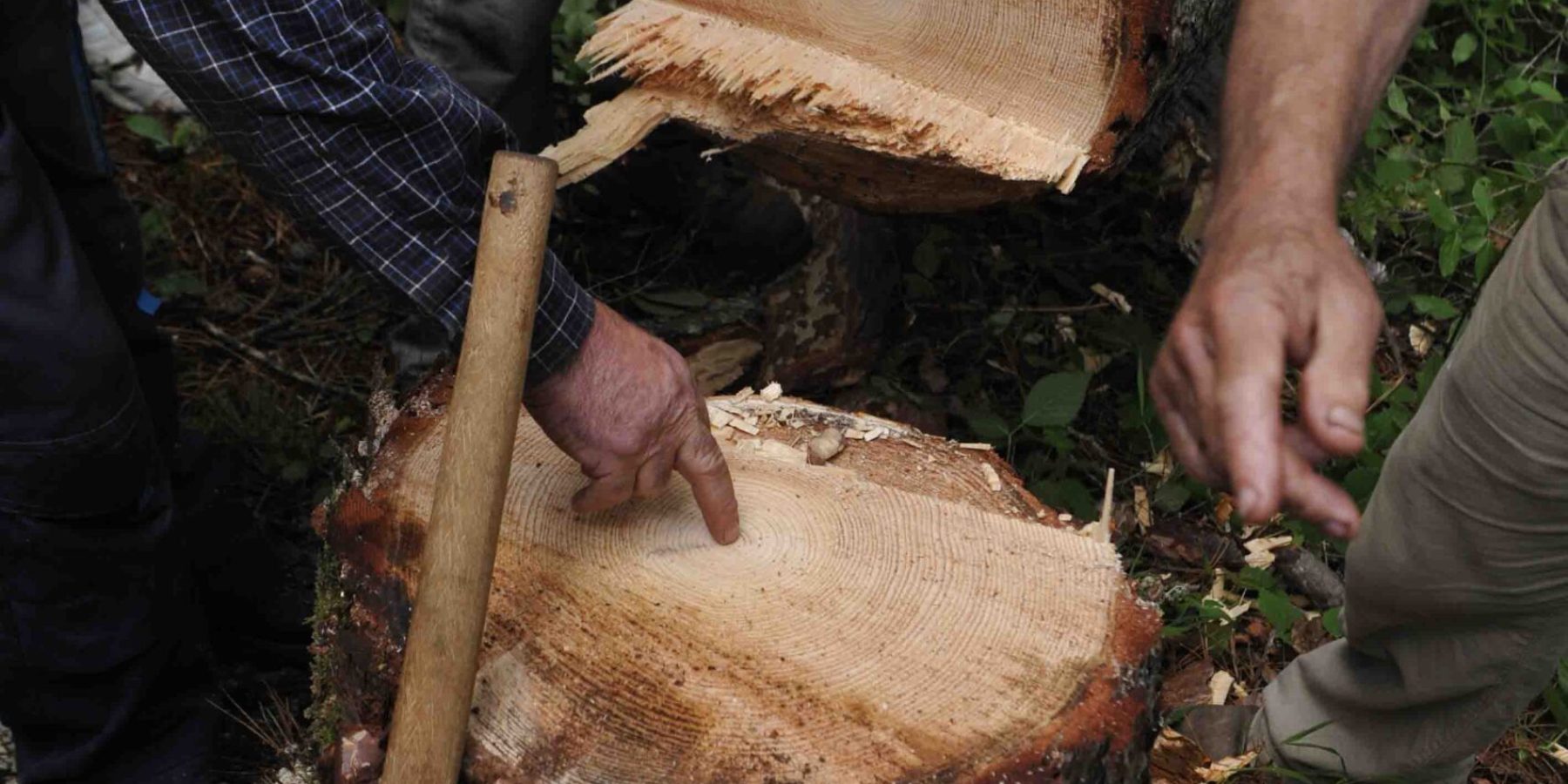 Vovousa 15 George Detsis