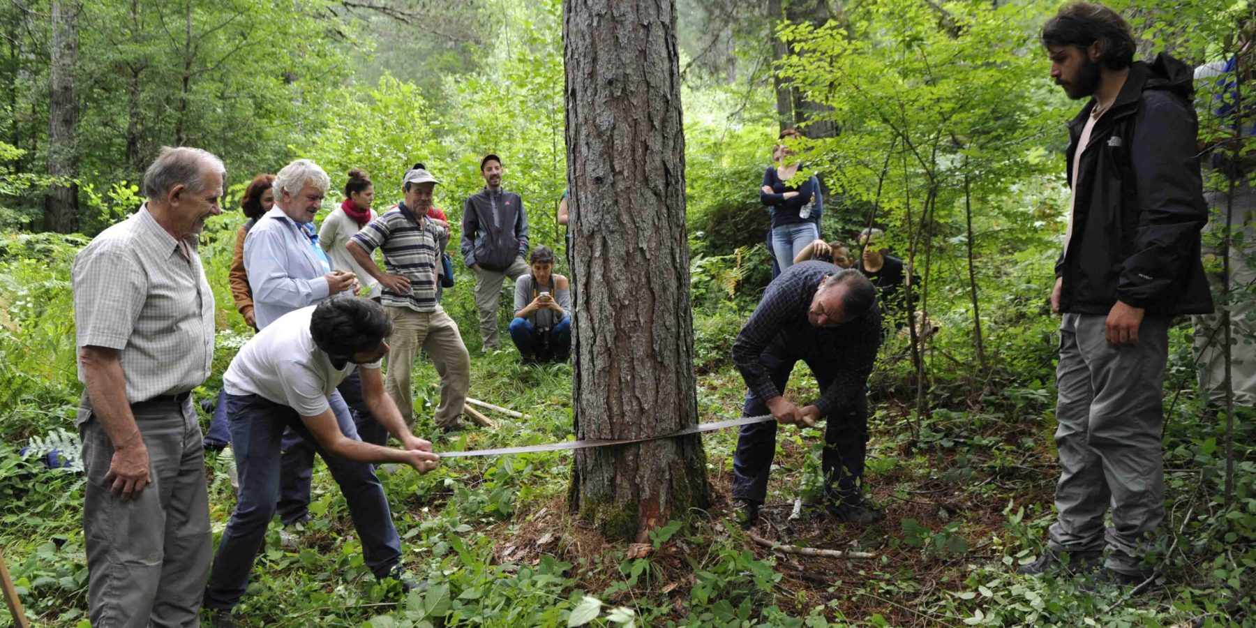 Vovousa 6 George_Detsis