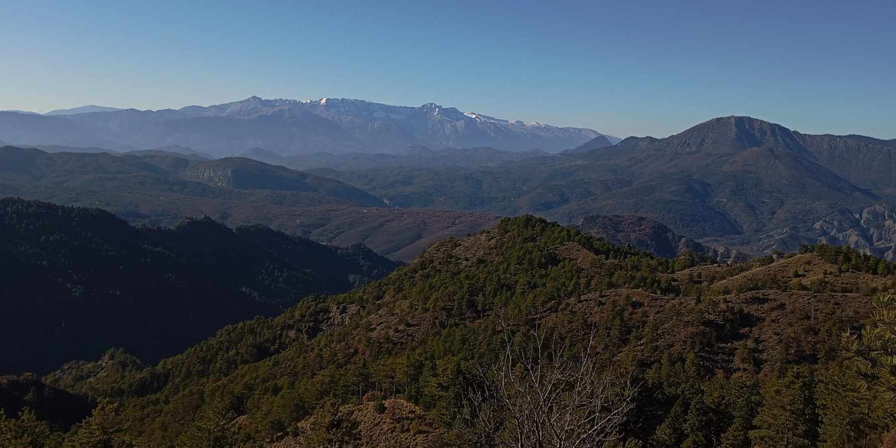 conserve connect phase II 1