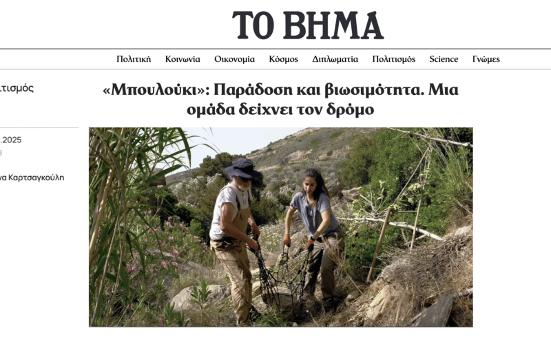 to vima 2025 featured image